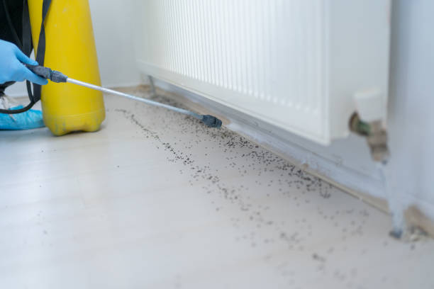 Best Affordable Pest Control Services  in Reedsburg, WI